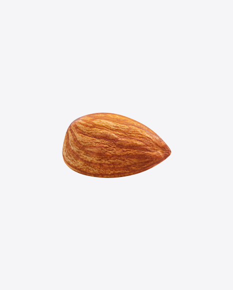 Almond Nut PNG