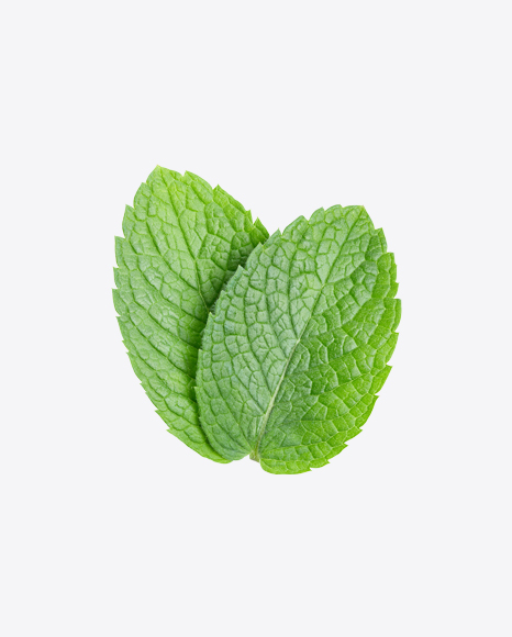 Mint Leaves PNG