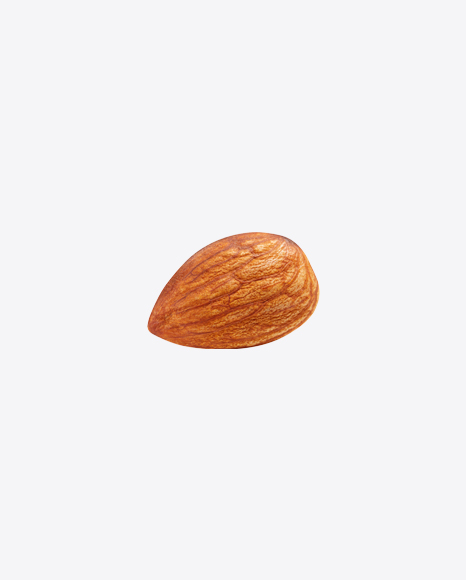 Almond Nut PNG