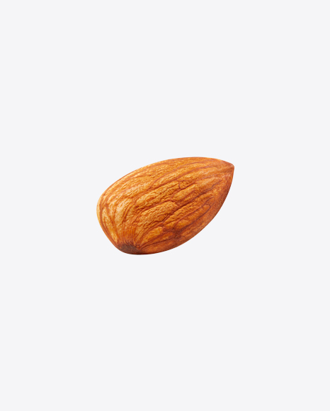 Almond Nut PNG