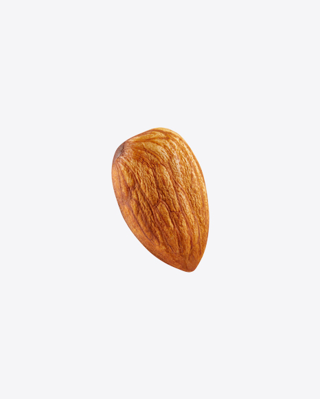 Almond Nut PNG