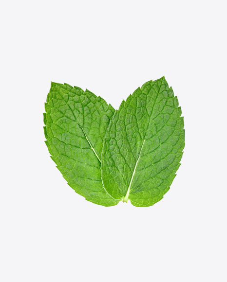 Mint Leaves