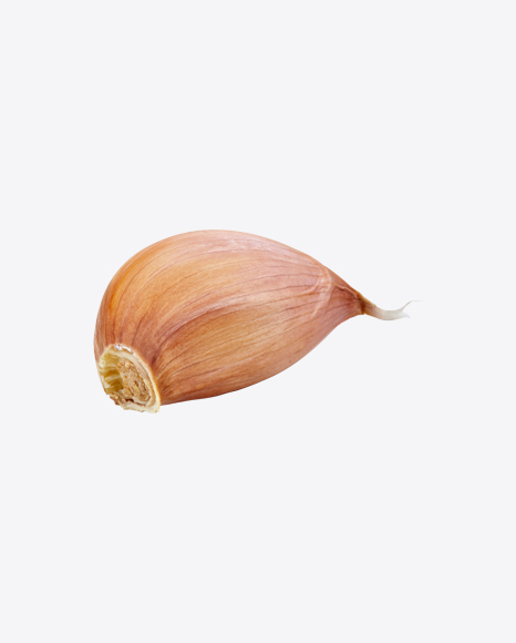 Garlic Clove PNG