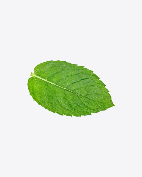 Mint Leaf PNG
