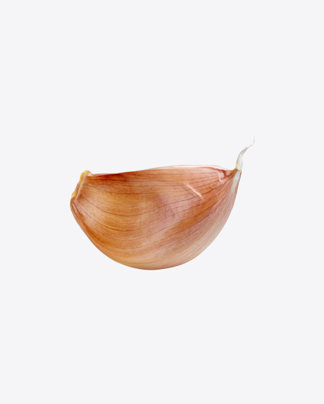 Garlic Clove PNG