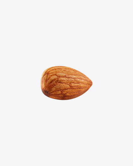 Almond Nut PNG
