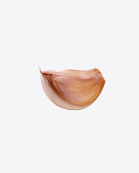 Garlic Clove PNG