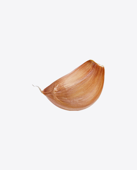 Garlic Clove PNG