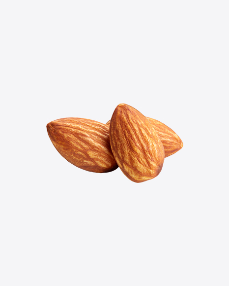Almond Nut PNG