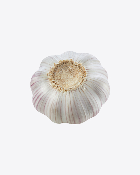 Garlic Bulb PNG