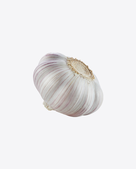 Garlic Bulb PNG