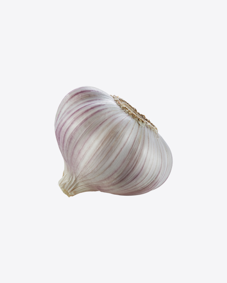 Garlic Bulb PNG