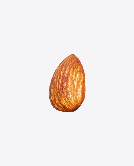 Almond Nut PNG