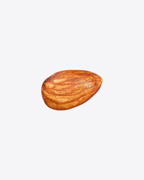 Almond Nut PNG