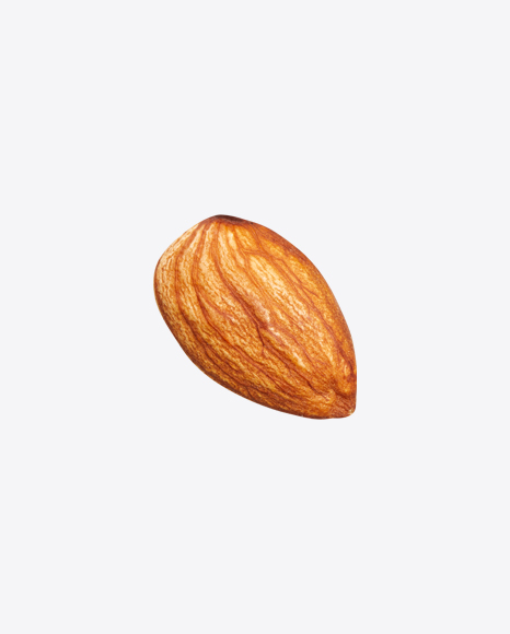 Almond Nut PNG