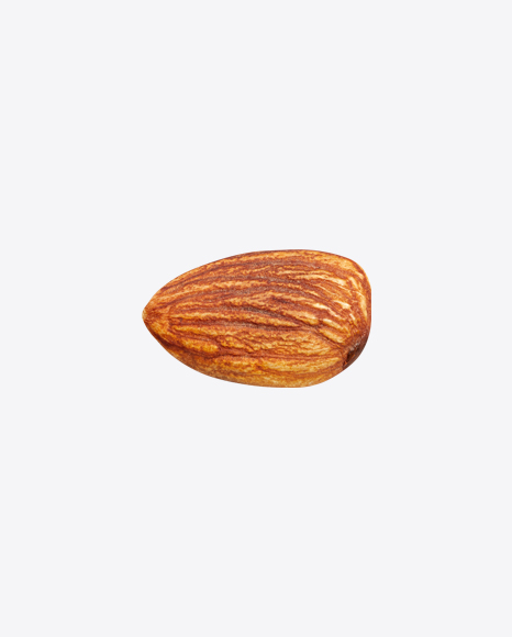 Almond Nut PNG