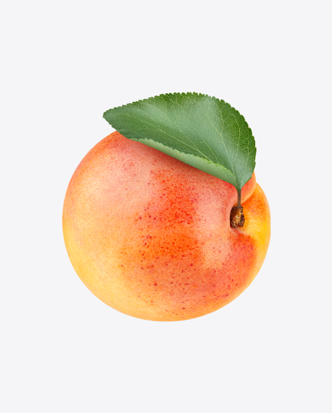 Apricot PNG