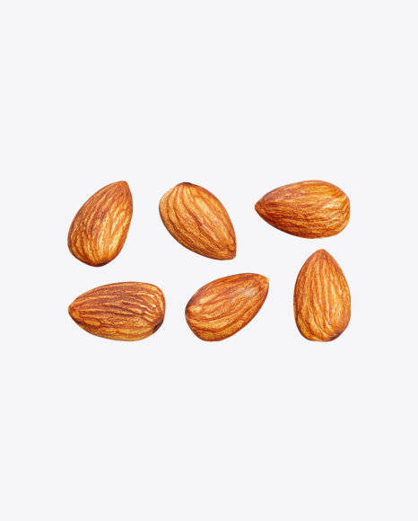 Almond Nut PNG