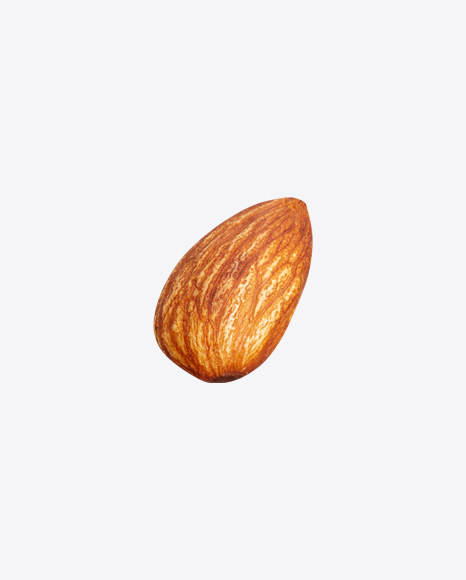 Almond Nut PNG