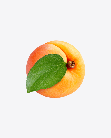 Apricot PNG