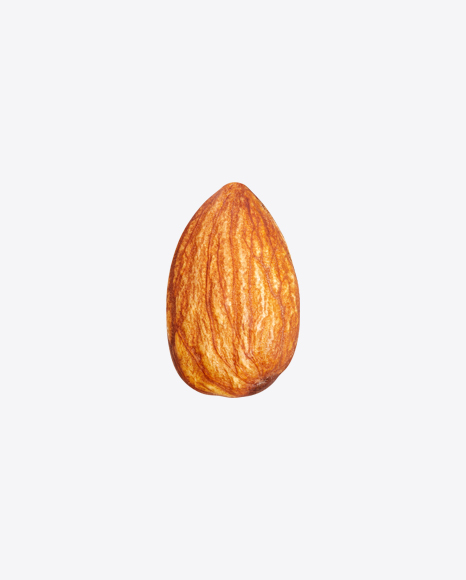 Almond Nut PNG