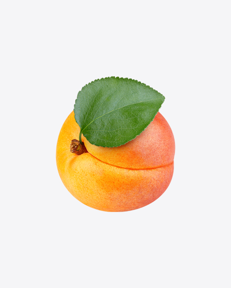 Apricot