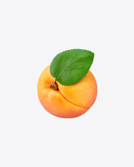 Apricot PNG