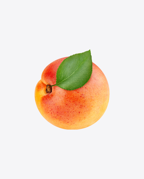 Apricot PNG
