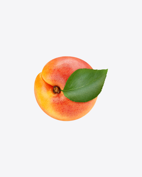 Apricot PNG