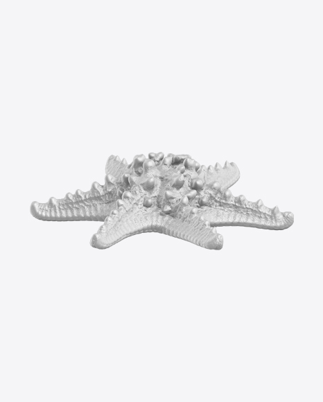 Sea Star Sculpture PNG
