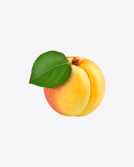 Apricot PNG