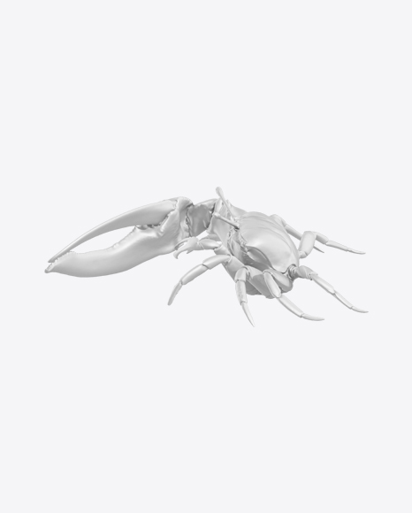 Fiddler Crab Sculpture PNG