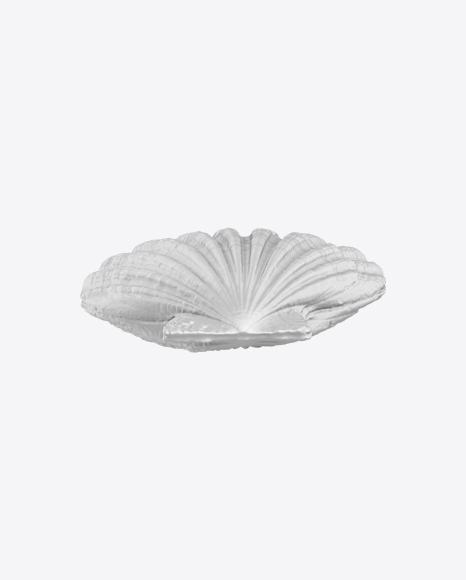 Sea Shell Sculpture PNG