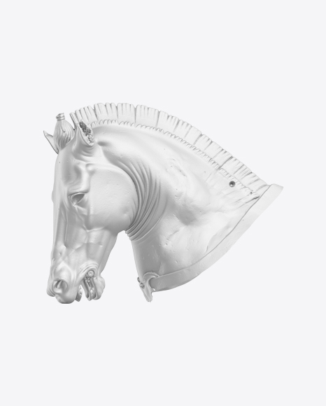Horse Bust PNG