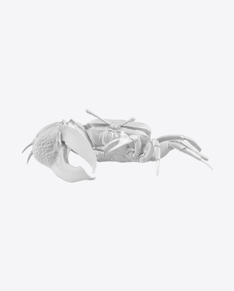 Fiddler Crab Sculpture PNG