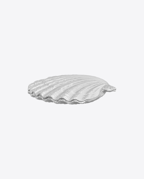 Sea Shell Sculpture PNG