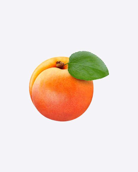 Apricot PNG