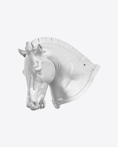 Horse Bust PNG