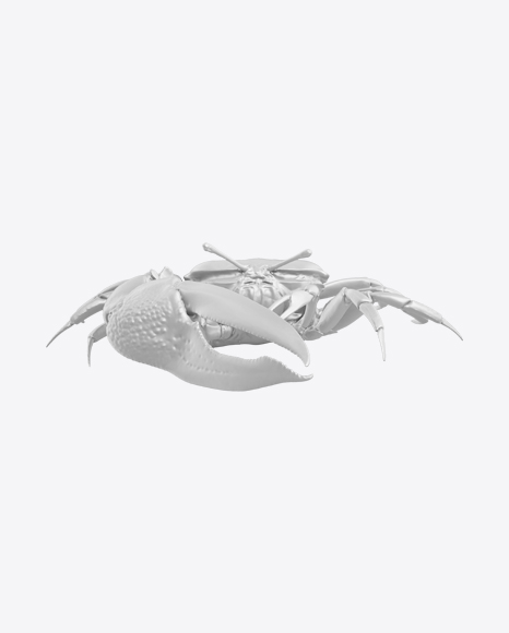 Fiddler Crab Sculpture PNG