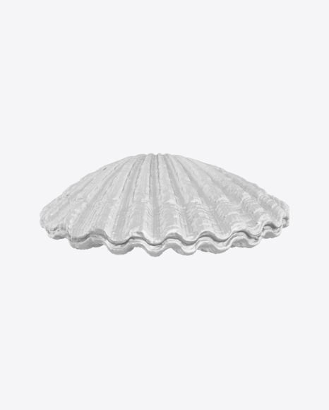 Sea Shell Sculpture PNG