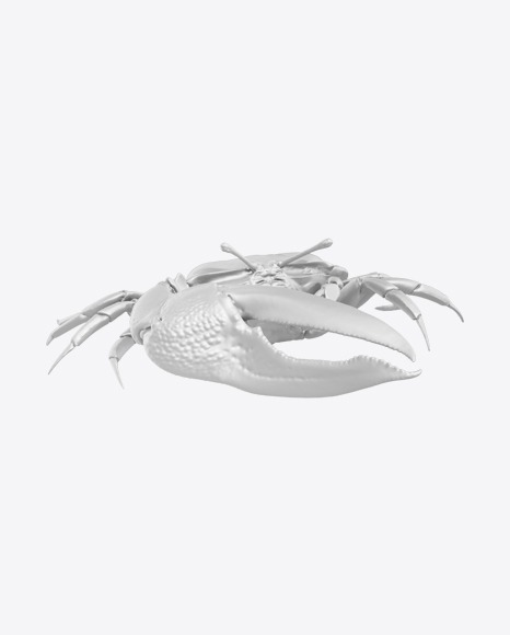 Fiddler Crab Sculpture PNG