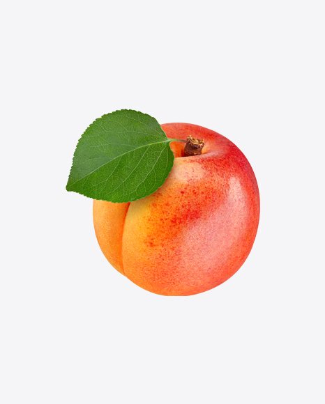 Apricot