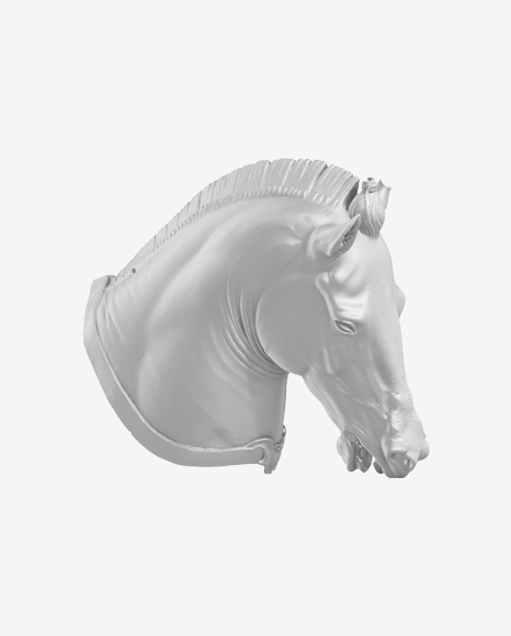 Horse Bust PNG