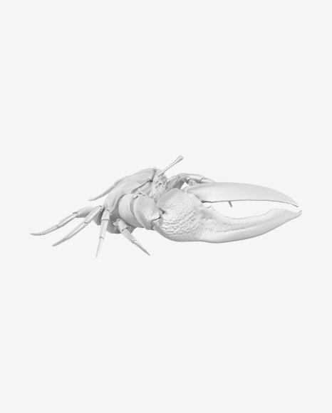 Fiddler Crab Sculpture PNG