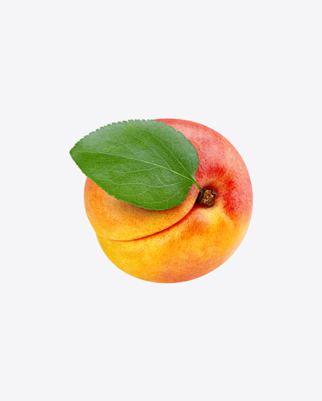 Apricot
