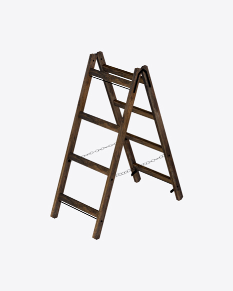 Folding ladder