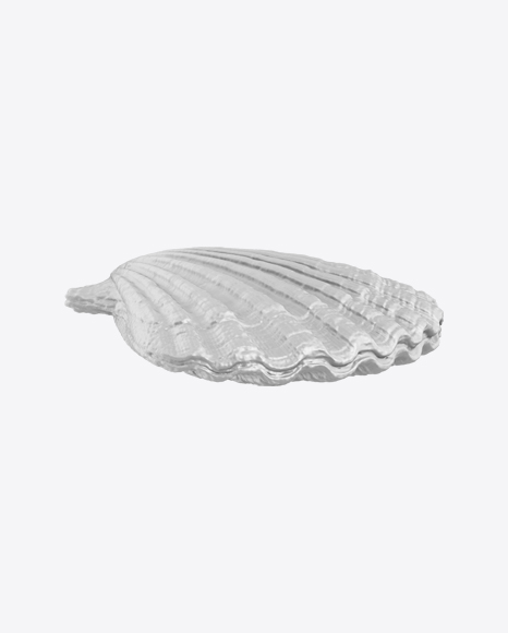 Sea Shell Sculpture PNG