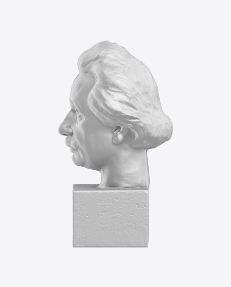 Albert Einstein Bust PNG