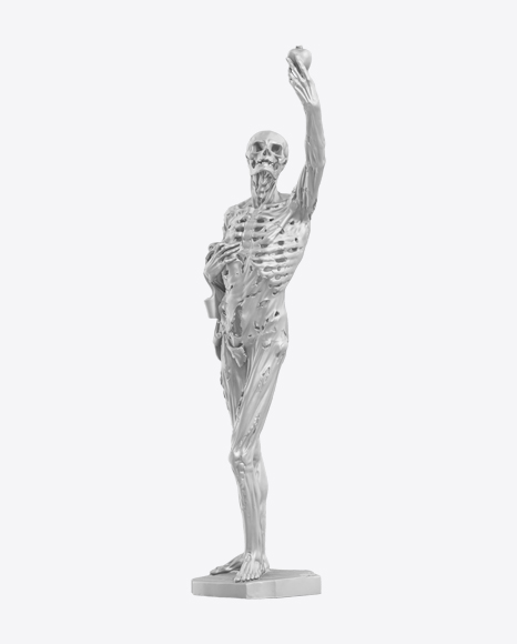 Skeleton Sculpture PNG