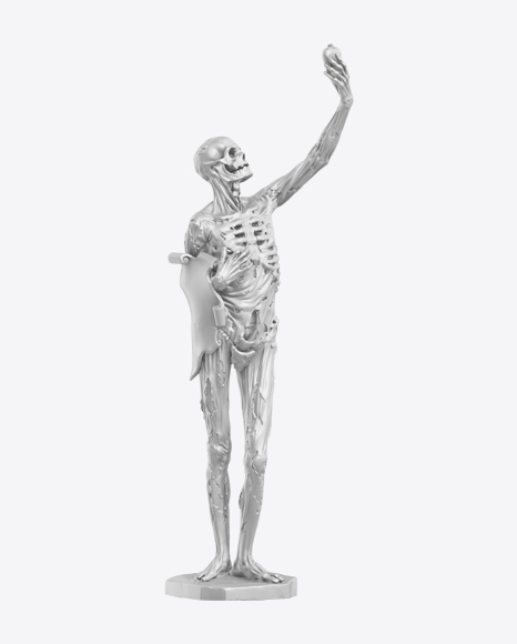 Skeleton Sculpture PNG